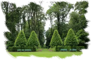 Empresa de tala y podas en altura Desbroces y jardinería