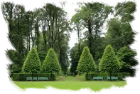 Tala y PODA DE ÁRBOLES EN ZARAGOZA Podas de altura Zaragoza