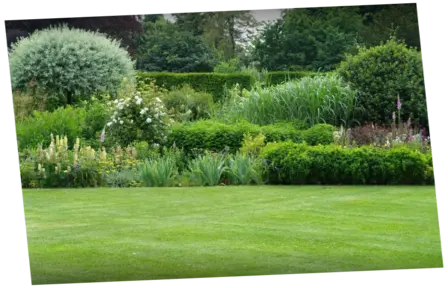 Mantenimiento de jardines