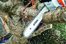 Tala y Podas y tala en altura Zaragoza