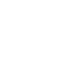 Tala y poda en altura Zaragoza