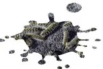 Tala y poda en altura Zaragoza Tala y poda en altura Zaragoza