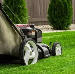 Tala y poda en altura Zaragoza