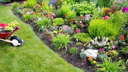 Tala y poda en altura Zaragoza Tala y poda en altura Zaragoza