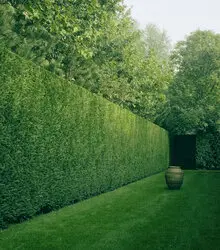 Tala y poda en altura Zaragoza Tala y poda en altura Zaragoza