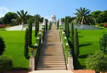 Tala y poda en altura Zaragoza Tala y poda en altura Zaragoza