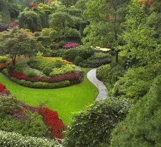 Talas y podas de altura Zaragoza Talas y podas de altura Zaragoza