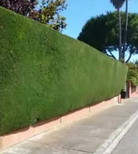 Talas y podas de altura Zaragoza Talas y podas de altura Zaragoza